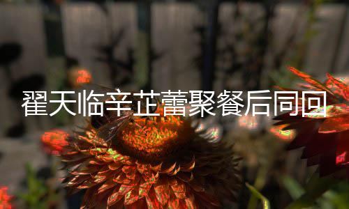翟天翟天后同回爱临辛临辛感情芷蕾芷蕾怎么聚餐样巢