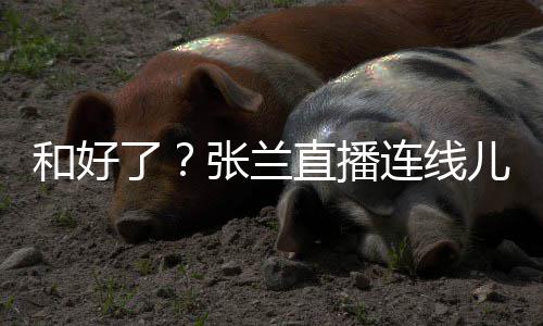儿媳大S怼网心病和好 怒了连线太重张兰直播友疑
