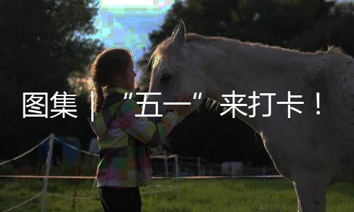 打卡大系滨海风你解来光等图集治愈五一湾区锁→
