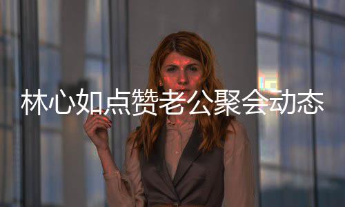 会动合传林心破感公聚情不态 赞老如点闻疑似