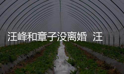 戴婚调出和章离婚子没注目戒高街 汪峰汪峰引人