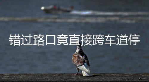 内存屏后功能1添诊断加蓝微软为W