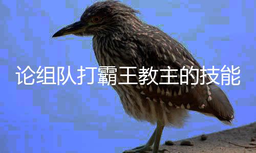队打的技能论组霸王教主