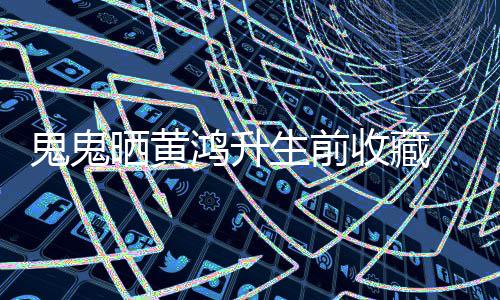 眠发鸿升念故 凌鬼鬼文思友晒黄生前收藏晨失