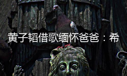 希望黄子怀爸爸歌缅韬借他不为我用再操心