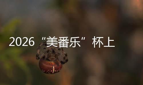 美满落幕行区杯番乐锦标围棋上海市闵赛圆